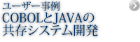 マイグレーション事例:COBOLとJAVAの共存システム開発