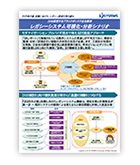 2025年の崖を克服 レガシーシステム可視化シナリオ