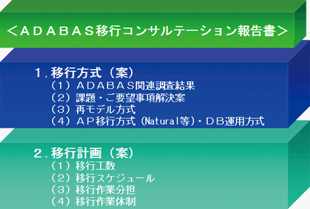 Adabas移行コンサルテーション報告書